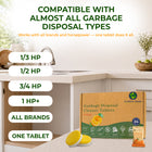 Garbage Disposal Cleaner Tablets – Foaming Deodorizer, Orange Citrus, 24 Count